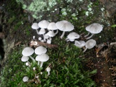 c0190010_234124.jpg