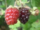 f0139520_233161.jpg