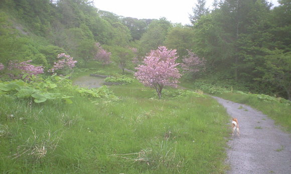 e0227023_20294534.jpg