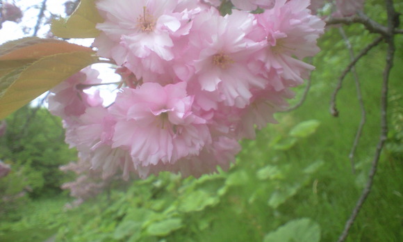 e0227023_20302022.jpg