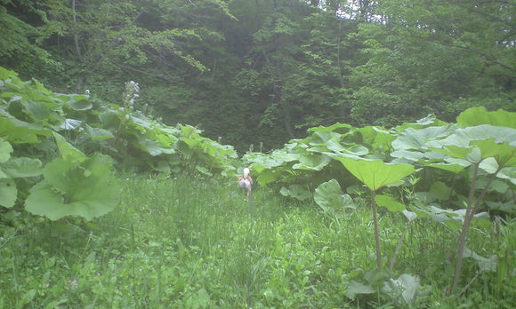 e0227023_20321025.jpg