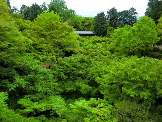 c0095424_15463015.jpg