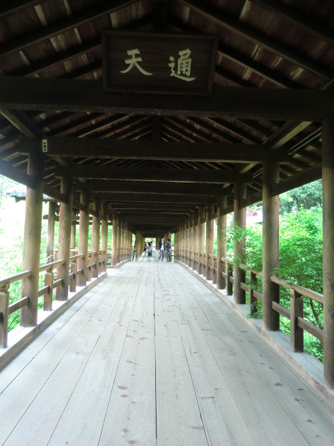 c0095424_1546770.jpg