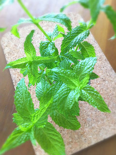 e0094325_111187.jpg