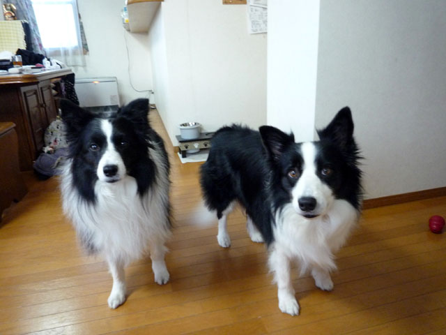 d0059230_818329.jpg