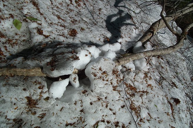 f0118332_23431222.jpg