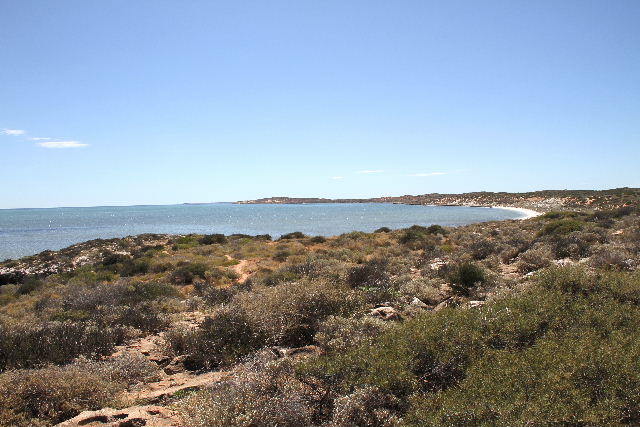 e0064133_23381467.jpg