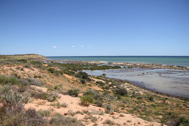 e0064133_23381941.jpg