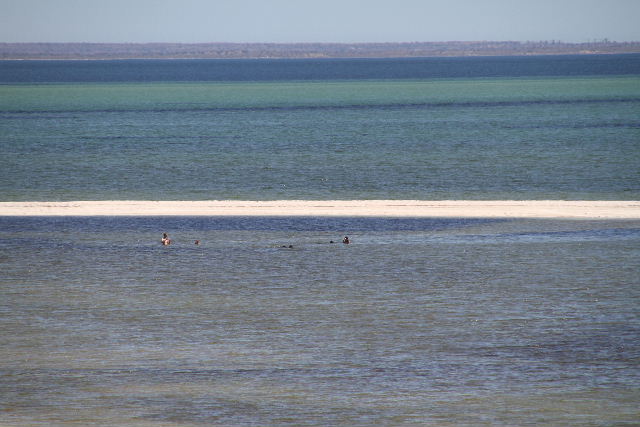 e0064133_2338417.jpg