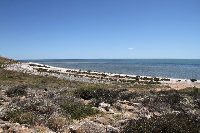 e0064133_2338995.jpg