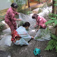 d0033734_1742610.jpg