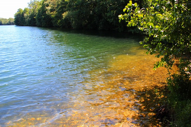 c0153740_3462947.jpg