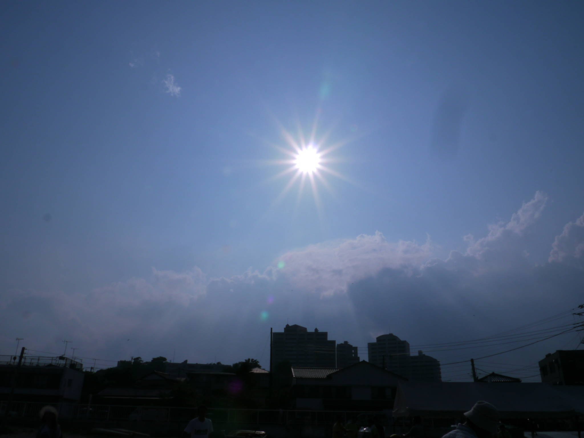 b0190242_101933.jpg