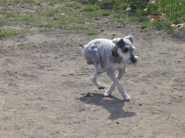 c0218443_0404624.jpg