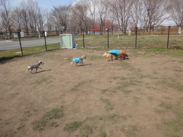 c0218443_0421894.jpg