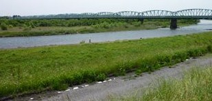 b0220251_164042100.jpg