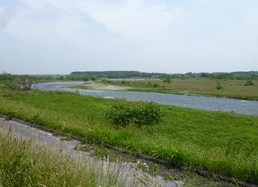 b0220251_17162669.jpg