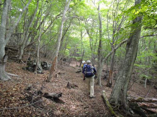 c0179351_21565725.jpg