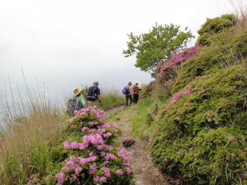 c0179351_2231059.jpg