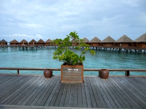 f0190653_18394977.jpg