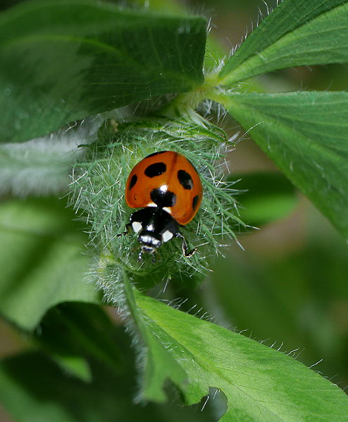 d0091754_2422884.jpg