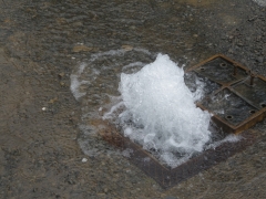 f0055264_22463793.jpg
