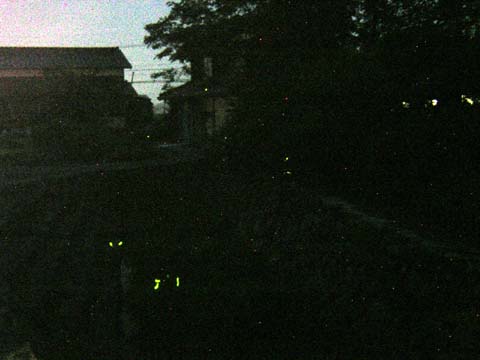 b0180968_19412566.jpg
