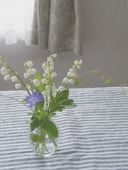 b0128173_9214591.jpg