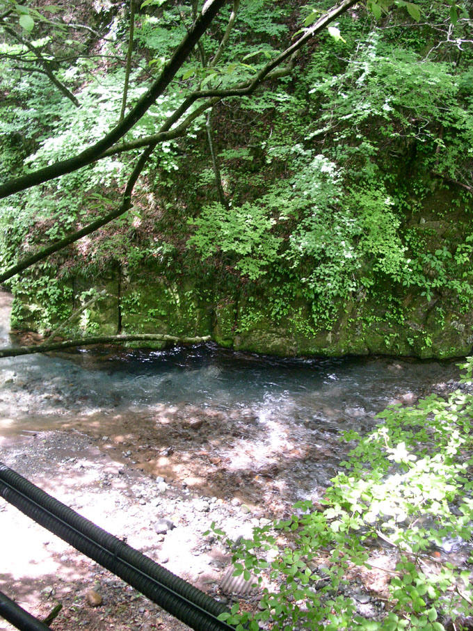 e0118274_21253216.jpg