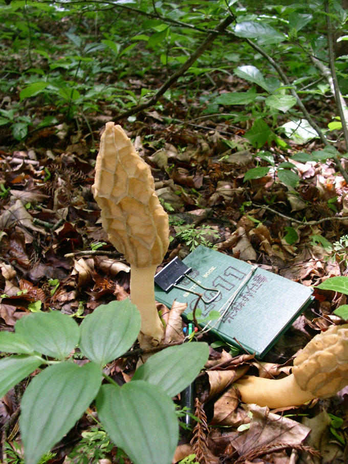 e0118274_21362178.jpg