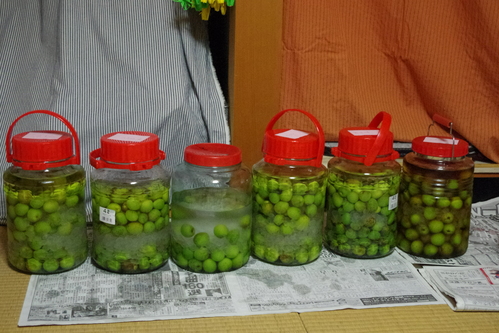 f0054677_644669.jpg