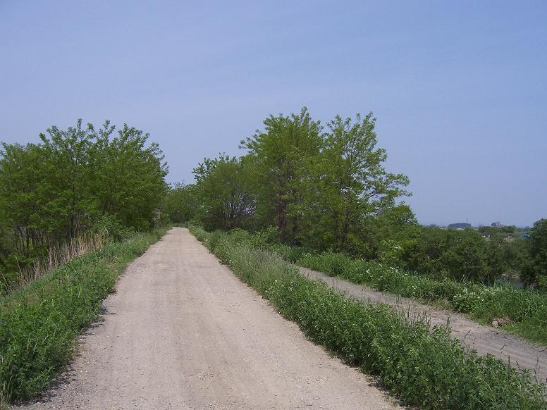 c0198781_1014424.jpg