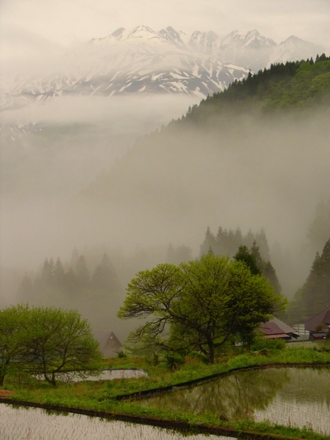 b0011185_22472393.jpg