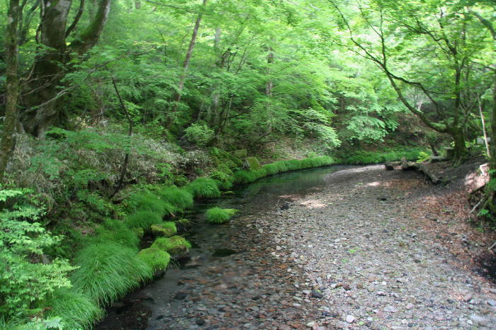 b0171185_9592999.jpg