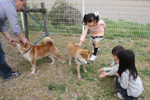 c0118387_1171210.jpg