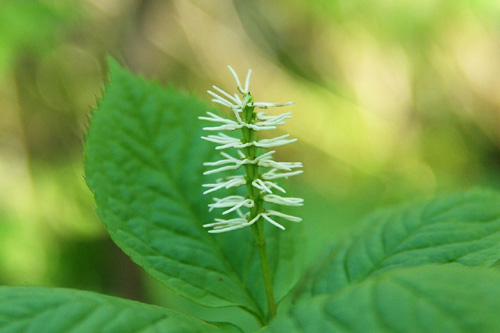 b0099994_7261437.jpg