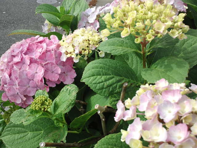 f0077595_2103494.jpg