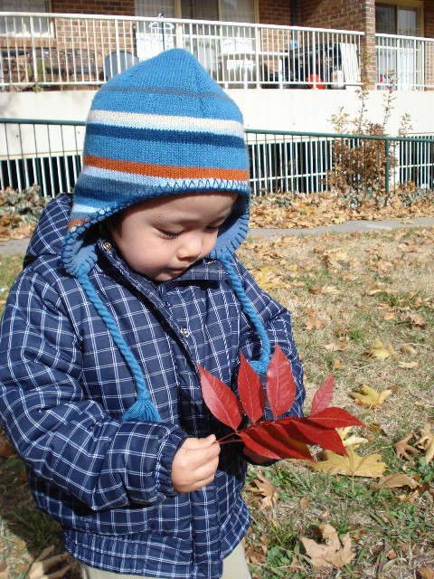 e0006999_21174070.jpg