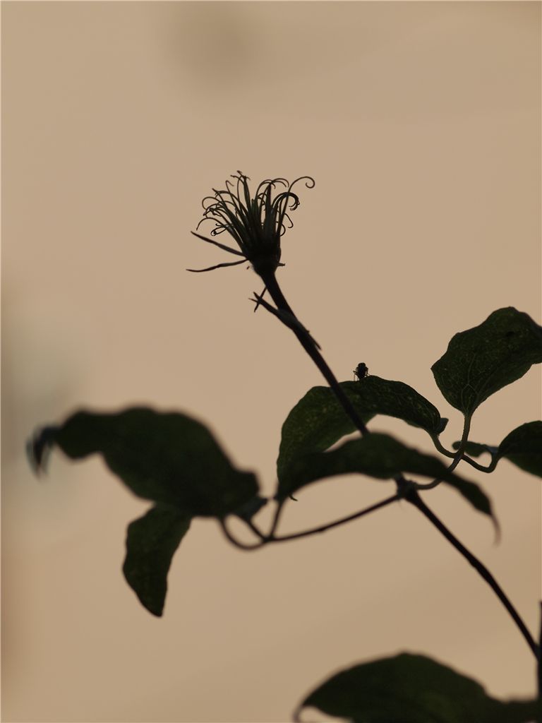 f0224100_7552052.jpg