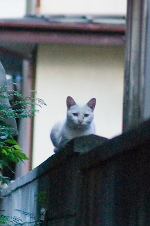 f0239100_2212563.jpg
