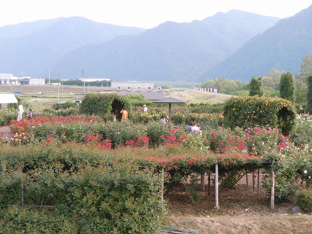 c0117007_20284620.jpg