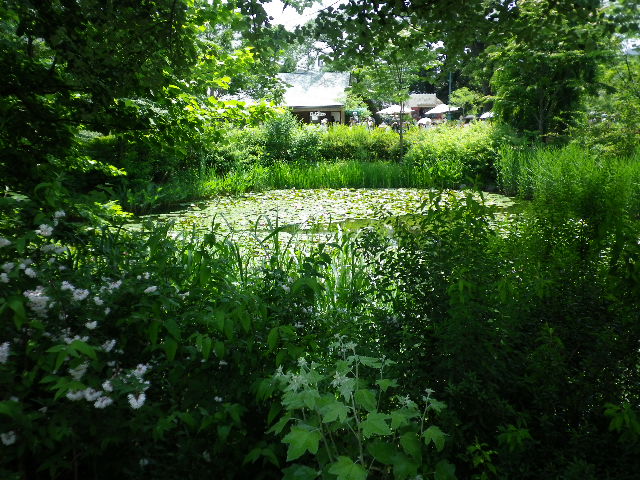 d0101907_22573536.jpg