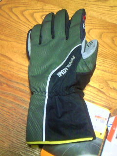 f0100911_22353876.jpg