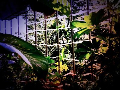 c0026612_10131651.jpg