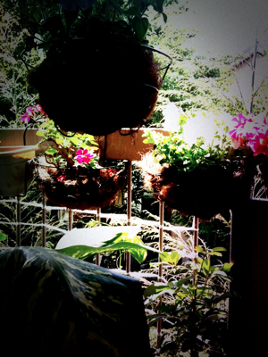 c0026612_10131840.jpg
