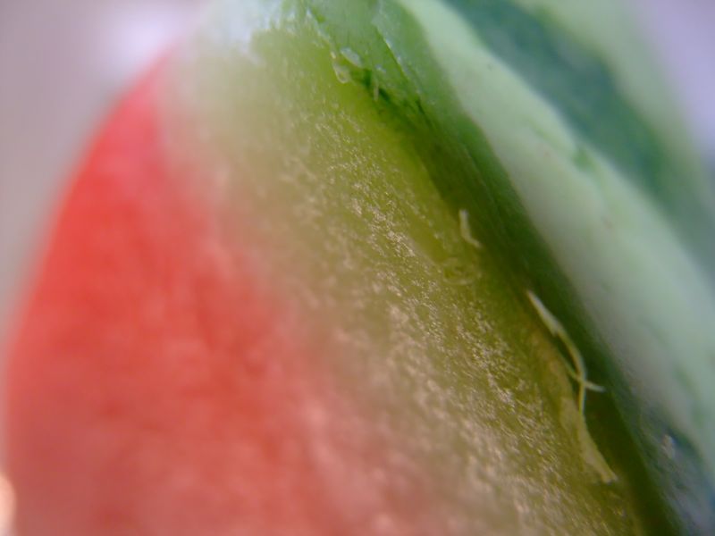 c0167813_18464993.jpg