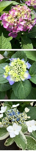e0156222_21105280.jpg