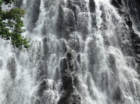 b0191125_1758773.jpg