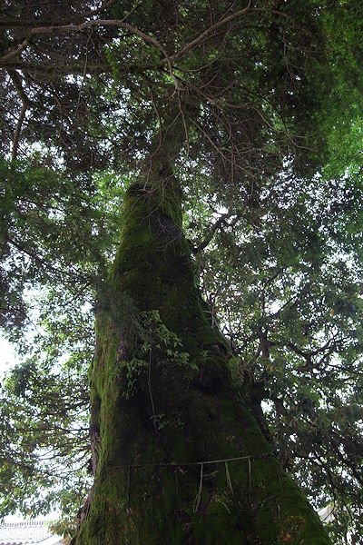f0007926_1231959.jpg