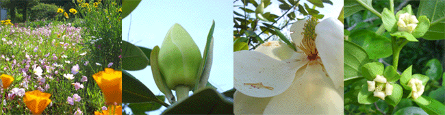 c0146127_186613.gif